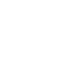 Scroll to Top